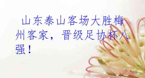 山东泰山客场大胜梅州客家,晋级足协杯八强!