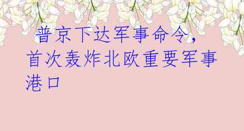 普京下达军事命令,首次轰炸北欧重要军事港口