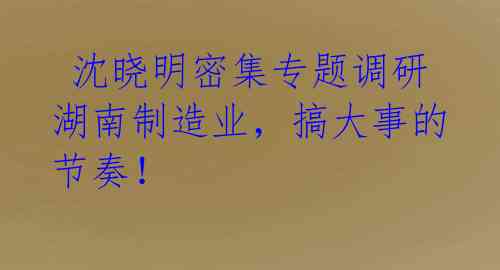 沈晓明密集专题调研湖南制造业,搞大事的节奏!