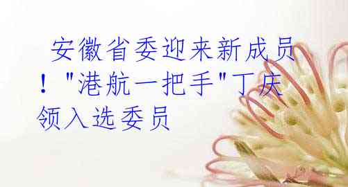 安徽省委迎来新成员!"港航一把手"丁庆领入选委员