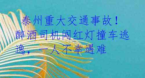 泰州重大交通事故!醉酒司机闯红灯撞车逃逸,一人不幸遇难