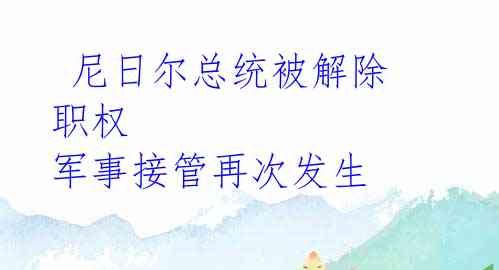  尼日尔总统被解除职权 军事接管再次发生 