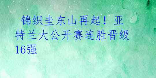  锦织圭东山再起！亚特兰大公开赛连胜晋级16强 