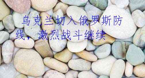 乌克兰切入俄罗斯防线,激烈战斗继续