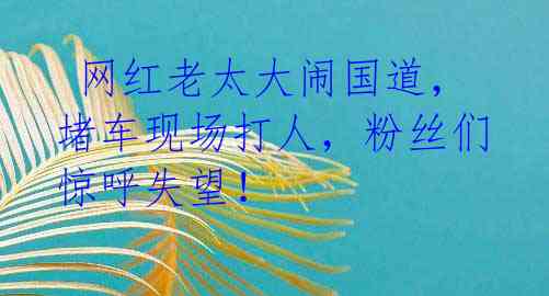 网红老太大闹国道,堵车现场打人,粉丝们惊呼失望!