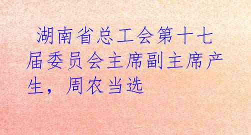  湖南省总工会第十七届委员会主席副主席产生，周农当选 