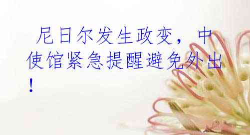 尼日尔发生政变,中使馆紧急提醒避免外出!