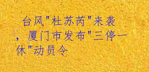 台风"杜苏芮"来袭,厦门市发布"三停一休"动员令