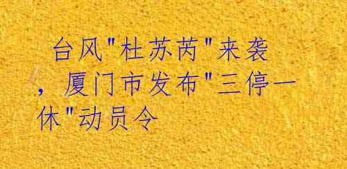  台风"杜苏芮"来袭，厦门市发布"三停一休"动员令 