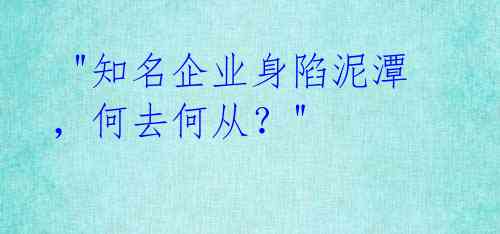"知名企业身陷泥潭,何去何从?"