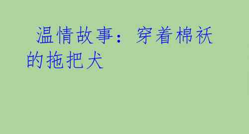 温情故事:穿着棉袄的拖把犬
