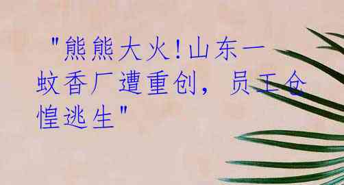 "熊熊大火!山东一蚊香厂遭重创,员工仓惶逃生"