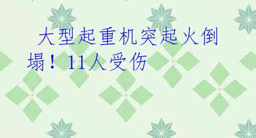 大型起重机突起火倒塌!11人受伤