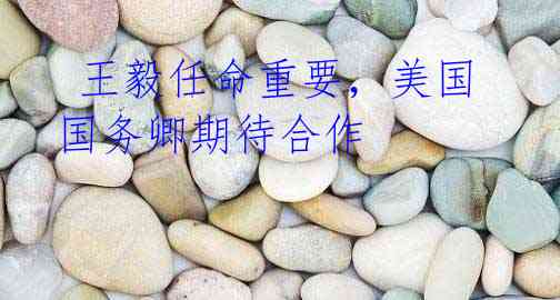 王毅任命重要,美国国务卿期待合作