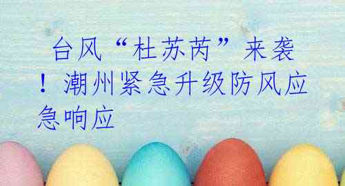 台风“杜苏芮”来袭!潮州紧急升级防风应急响应