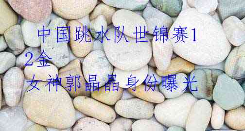 中国跳水队世锦赛12金 女神郭晶晶身份曝光