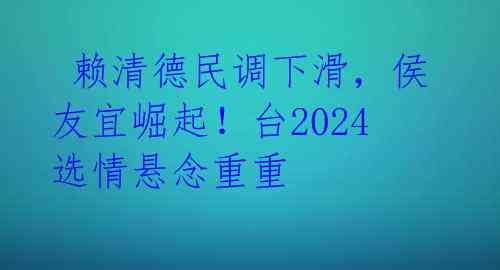 赖清德民调下滑,侯友宜崛起!台2024选情悬念重重