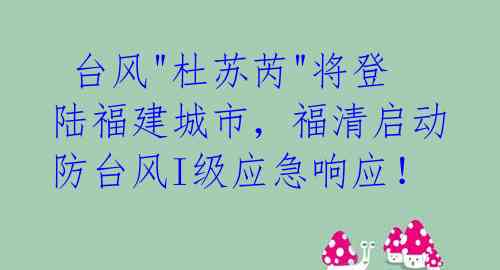  台风"杜苏芮"将登陆福建城市，福清启动防台风I级应急响应！ 