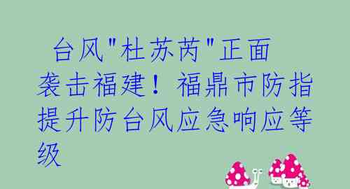  台风"杜苏芮"正面袭击福建！福鼎市防指提升防台风应急响应等级 