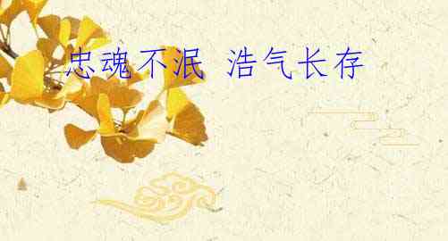 忠魂不泯 浩气长存