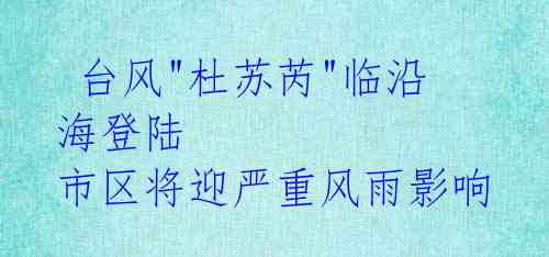 台风"杜苏芮"临沿海登陆 市区将迎严重风雨影响