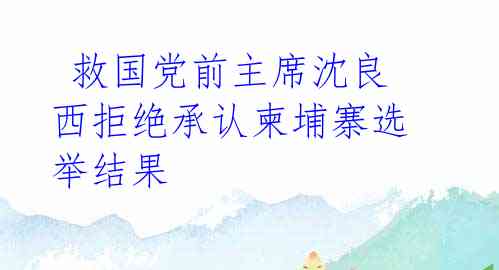  救国党前主席沈良西拒绝承认柬埔寨选举结果 