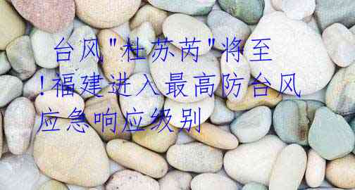 台风"杜苏芮"将至!福建进入最高防台风应急响应级别