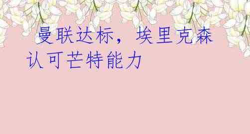 曼联达标,埃里克森认可芒特能力
