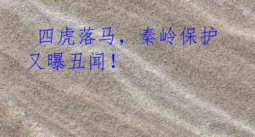 四虎落马,秦岭保护又曝丑闻!