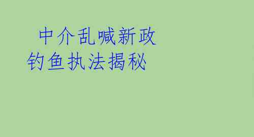  中介乱喊新政 钓鱼执法揭秘 