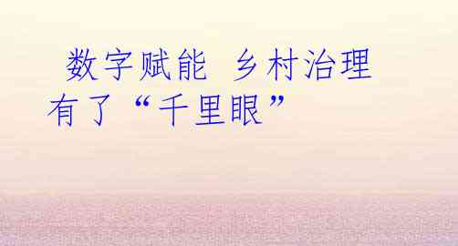 数字赋能 乡村治理有了“千里眼”