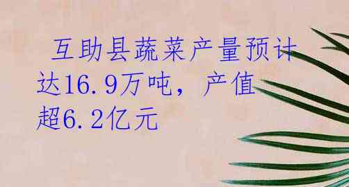  互助县蔬菜产量预计达16.9万吨，产值超6.2亿元 