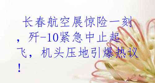 长春航空展惊险一刻,歼-10紧急中止起飞,机头压地引爆热议!
