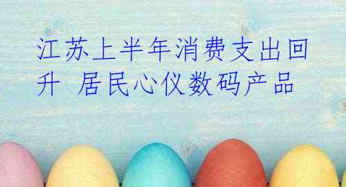 江苏上半年消费支出回升 居民心仪数码产品