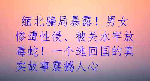 缅北骗局暴露!男女惨遭性侵、被关水牢放毒蛇!一个逃回国的真实故事震撼人心