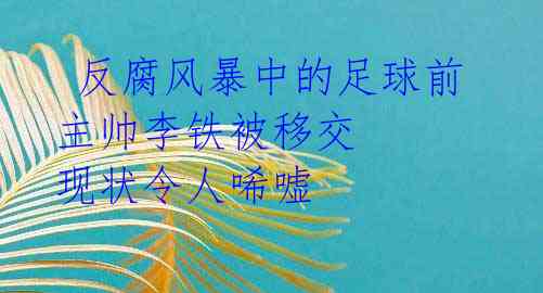 反腐风暴中的足球前主帅李铁被移交 现状令人唏嘘