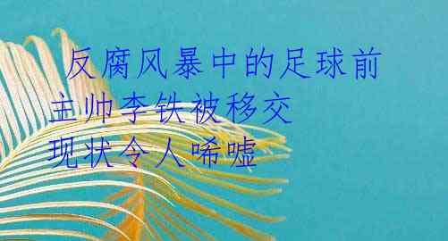  反腐风暴中的足球前主帅李铁被移交 现状令人唏嘘 