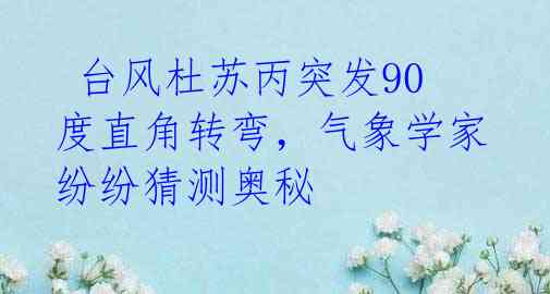  台风杜苏丙突发90度直角转弯，气象学家纷纷猜测奥秘 