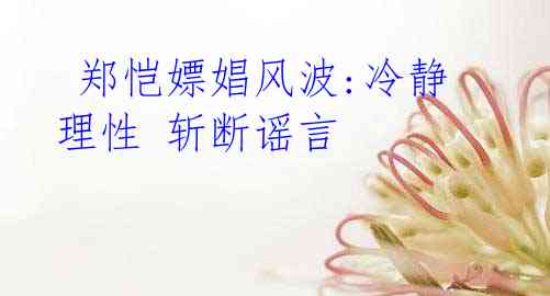 郑恺嫖娼风波:冷静理性 斩断谣言