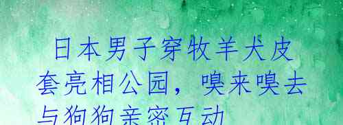 日本男子穿牧羊犬皮套亮相公园,嗅来嗅去与狗狗亲密互动