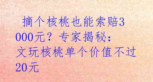  摘个核桃也能索赔3000元？专家揭秘：文玩核桃单个价值不过20元 