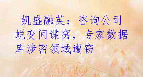 凯盛融英:咨询公司蜕变间谍窝,专家数据库涉密领域遭窃