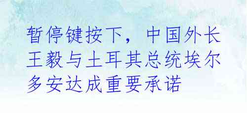 暂停键按下,中国外长王毅与土耳其总统埃尔多安达成重要承诺