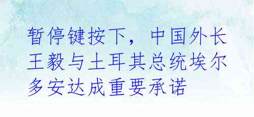 暂停键按下，中国外长王毅与土耳其总统埃尔多安达成重要承诺 