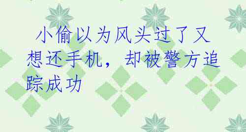  小偷以为风头过了又想还手机，却被警方追踪成功 