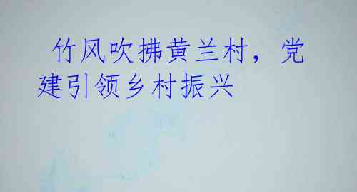 竹风吹拂黄兰村,党建引领乡村振兴