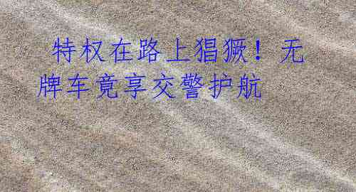  特权在路上猖獗！无牌车竟享交警护航