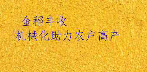 金稻丰收 机械化助力农户高产