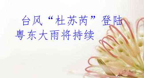 台风“杜苏芮”登陆 粤东大雨将持续