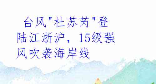  台风"杜苏芮"登陆江浙沪，15级强风吹袭海岸线 